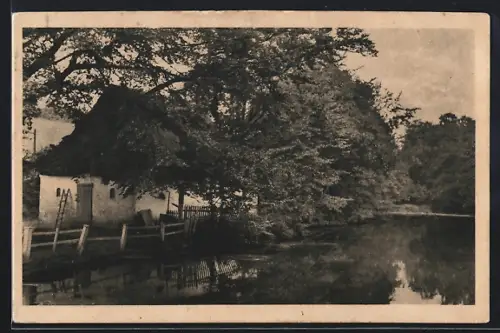 AK Knapp bei Apenrade, Teilansicht am Ufer
