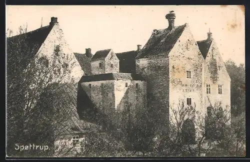 AK Spøttrup, Burg Spøttrup
