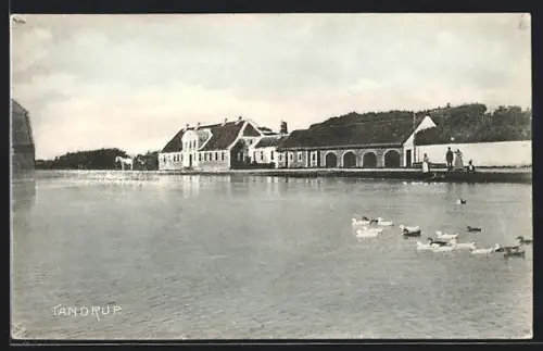 AK Trandrup, Teilansicht am Ufer