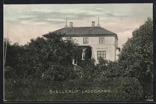 AK Bjellerup Ladegaard, Panorama