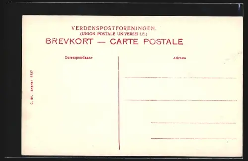 AK Skjerrildgaard, Partie am Anwesen
