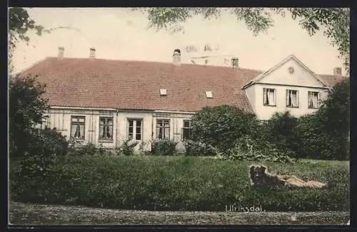 AK Ulriksdal, Hund auf der Wiese vor einem Haus