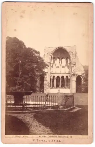 Fotografie C. Hertel, Mainz, Ansicht Mainz, Chorruine Heisterbach mit Brunnen