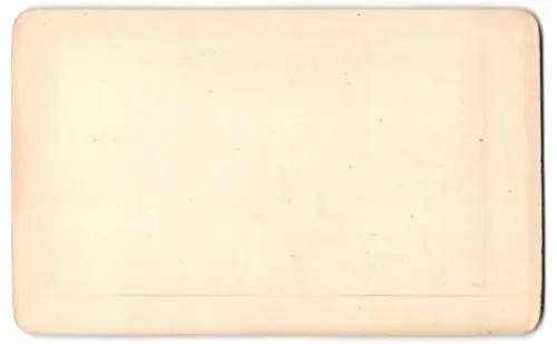 Fotografie Lithographie F. Rau jr., Frankfurt, Ansicht Frankfurt / Main, Blick in die Stadt