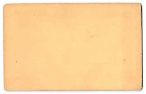 Fotografie unbekannter Fotograf, Ansicht Neuffen, Blick auf Hohen Neuffen, nach einem Gemälde