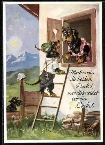 AK Rauhhaardackel beim Fensterln, Schnauzer als Zuschauer