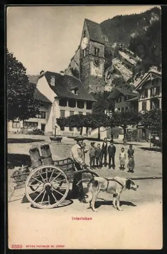 AK Interlaken, Hundegespann auf einem Platz