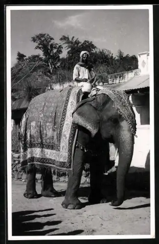 AK Tirupathi, Tempel Elefant mit Reiter