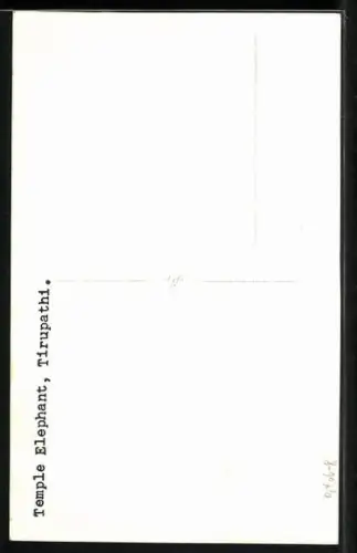 AK Tirupathi, Tempel Elefant mit Reiter