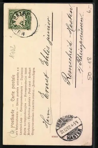 AK Prosit Neujahr!, Bub reitet auf Schwein