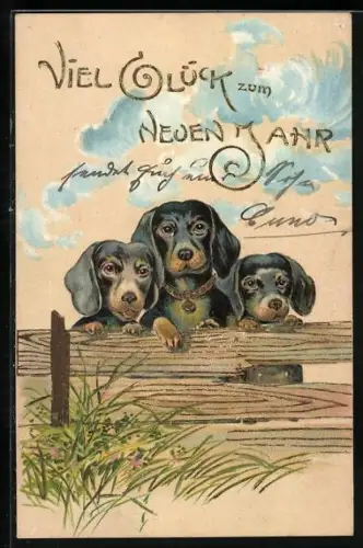 AK Drei Dackel am Bretterzaun