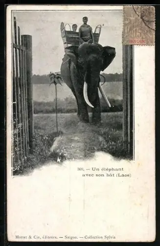 AK Laos, Un éléphant avec son bat