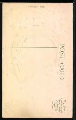 Präge-AK Hufeisen mit Kirschzweigen, Motiv mit Schwänen auf einem See, Best Wishes