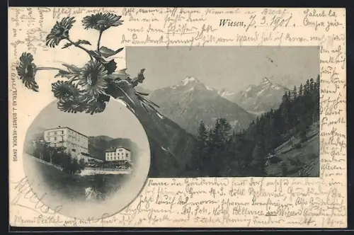 AK Wiesen, Hotel Bellevue, Bergpanorama, Blumenstrauss