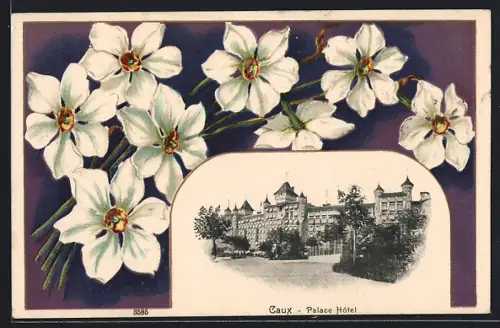 Präge-AK Caux, Palace Hotel, Narzissen