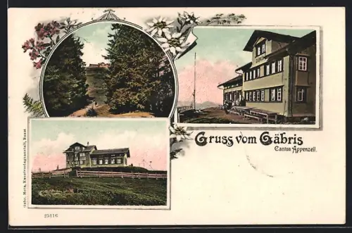 AK Gäbris /Appenzell, Gasthaus Gäbris, Ortspartie, Edelweiss, Rahmen