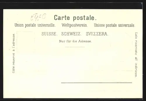 Lithographie Zürich, Dolder, Gaststätte Waldhaus Dolder, Römerhof, Dolderbahn, Ortspanorama