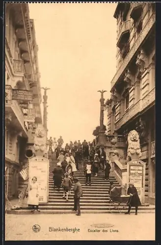 AK Blankenberghe, Escalier des Lions