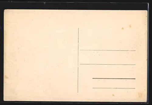 AK Dinant, Bords de la Meuse, Vue de la Citadelle et Eglise N. Dame