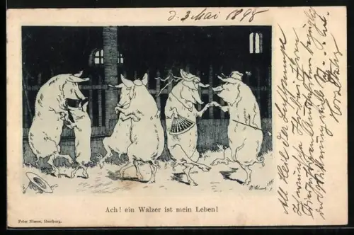 AK Schweine beim fröhlichen Tanz im Stall, Ach ! Ein Walzer ist mein Leben! vermenschlichte Tiere