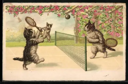 AK Katzen beim Tennisspiel, vermenschlichte Tiere