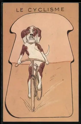 AK Hund fährt mit dem Fahrrad, Le Cyclisme, vermenschlichte Tiere