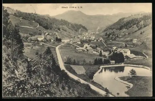 AK Fischenthal, Ortsansicht mit Hörnli