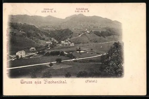AK Fischenthal, Fistel, Ortspartie mit Hütkopf und Scheidegg