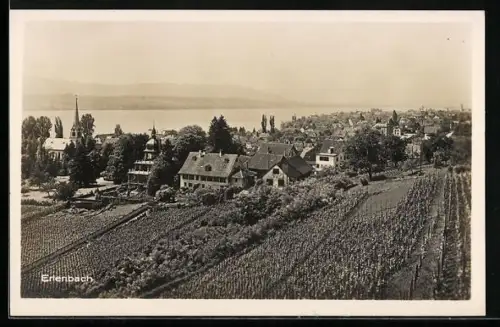 AK Erlenbach, Teilansicht mit Kirche