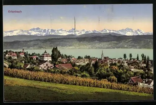 AK Erlenbach /ZH, Teilansicht mit Zürichsee