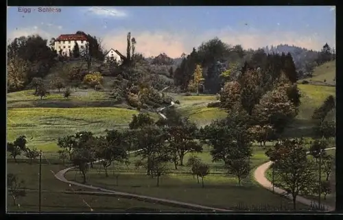 AK Elgg, Blick zum Schloss