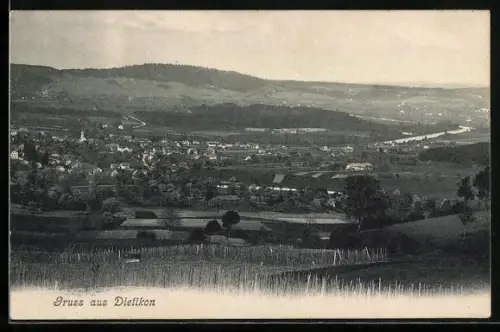AK Dietikon, Teilansicht mit Bäumen