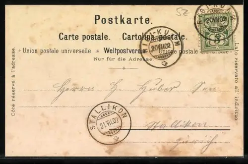 Künstler-AK C. Steinmann: Goldau, Totalansicht mit Bahnhof, Rigi-Scheidegg, Arth-Rigi-Bahn & Rigi-Kulm