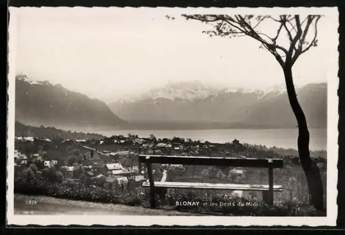 AK Blonay, Les Dents du Midi
