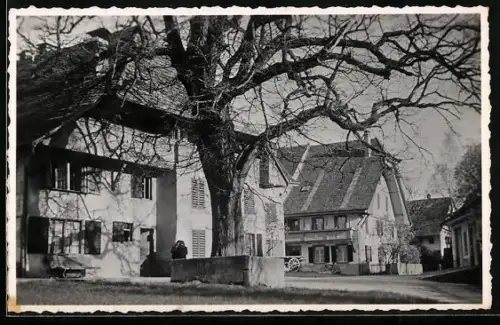 Foto-AK Lenzburg, Ortspartie auf den Lindenplatz