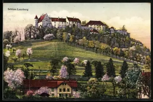 AK Lenzburg, Blick aufs Schloss im Frühling