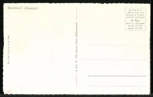 AK Boniswil /Aargau, Totalansicht mit Panorama