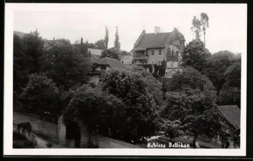 AK Bellikon, Partie am Schloss