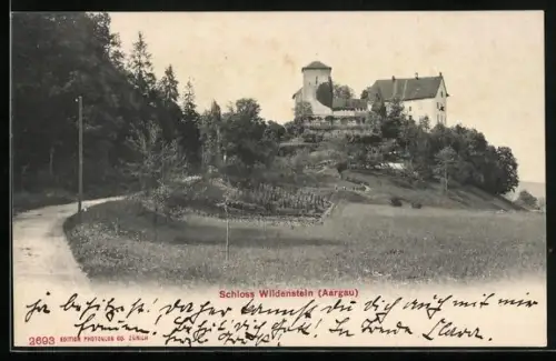 AK Wildenstein, Blick auf das Schloss