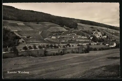 AK Oberflachs, Kasteler Weinberg