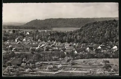 AK Mülligen /Aargau, Ortsansicht aus der Vogelschau