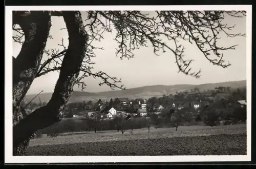 AK Dürrenäsch, Teilansicht vom Ort