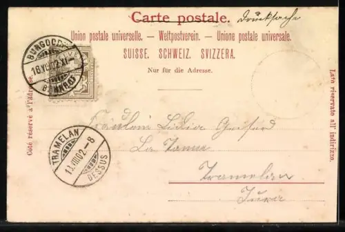 AK Baden, Hotels an der Limmat, Ortspartie mit Brücke