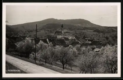 AK Herznach, Blick zur Kirche
