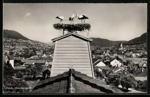 AK Frick, Storchennest mit Ortsblick aus der Vogelschau
