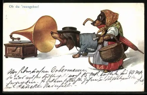 Künstler-AK Dackel bellt in den Trichter eines Grammophons Ob du `rausgehst!