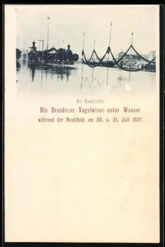 AK Dresden, Dresdener Vogelwiese, Hochwasser im Juli 1897, Die Hauptreihe