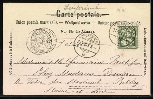 AK Beckenried, Gasthaus zum Alpenrösl, Blick zur Kirche