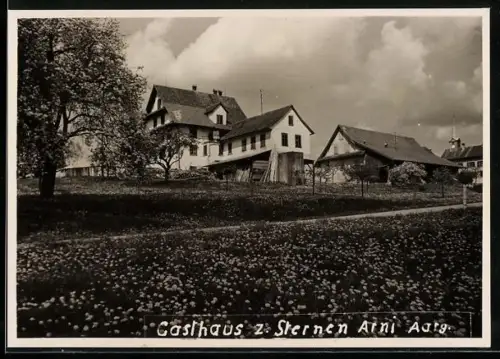 AK Arni /Aarg., Gasthaus z. Sternen von der Wiese aus