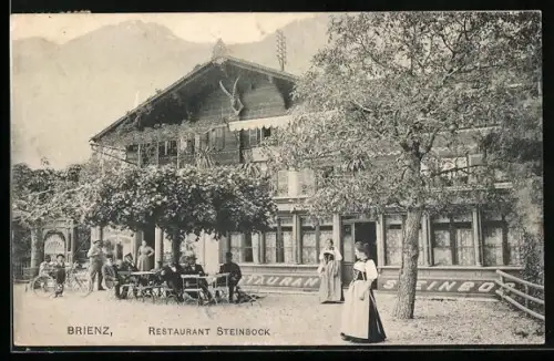 AK Brienz /BE, Restaurant Steinbock mit Garten und Gästen